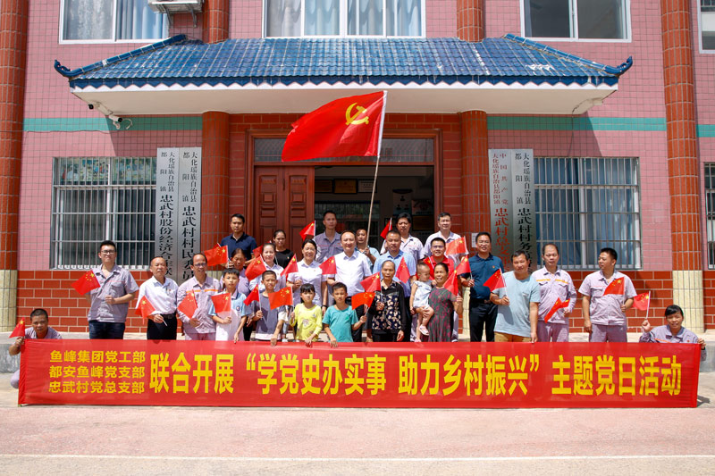 与忠武村党支部联合开展主题党日活动。