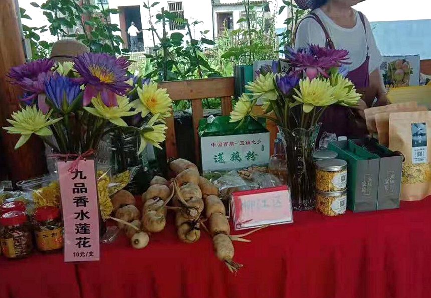 怀洪村生产的“荷藕+”特色农产品