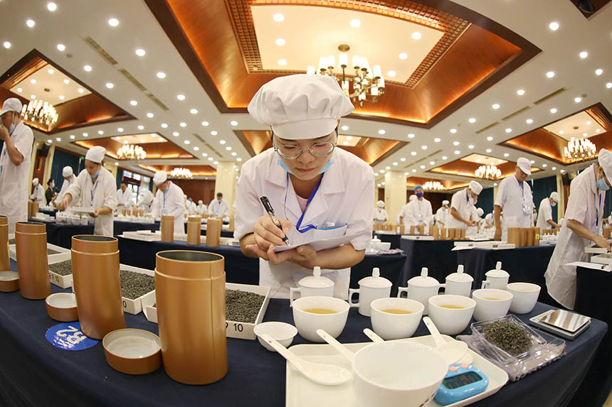一名参赛选手在参加精制筛号茶拼配比赛。龚普康摄