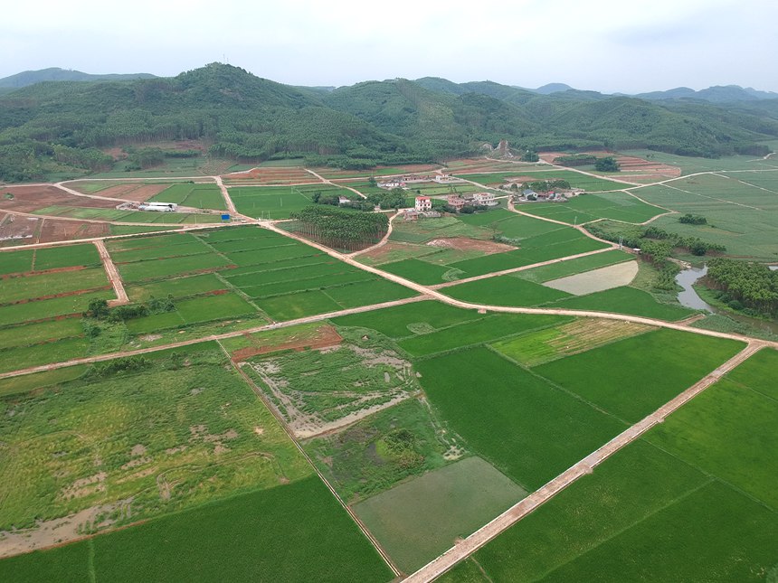 航拍南泗乡读村片区已种植地块