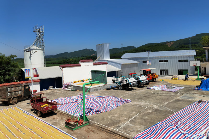 佛子村集體控股的糧油公司建設的香糯加工產業園二期項目正在加緊建設。