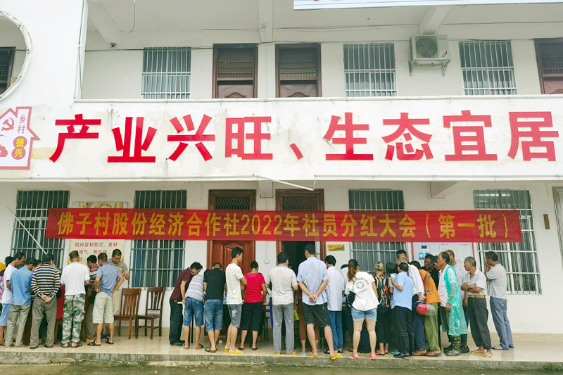 7月8日，上思縣在妙鎮佛子村舉行股份經濟合作社2022年社員分紅大會。