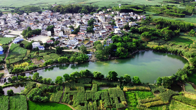 灵湖村全景图。