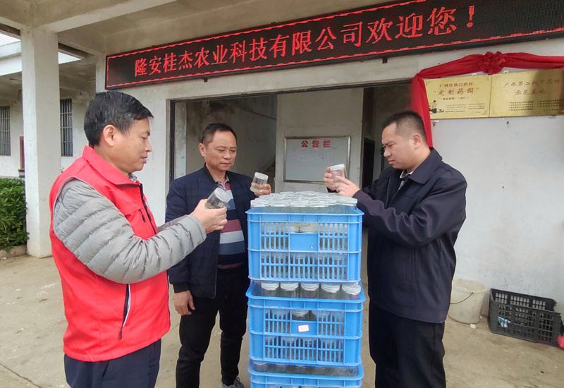 1典型展播-2022年1月6日李力至隆安桂杰农业科技有限公司的中药材良种繁育基地开展技术服务工作。