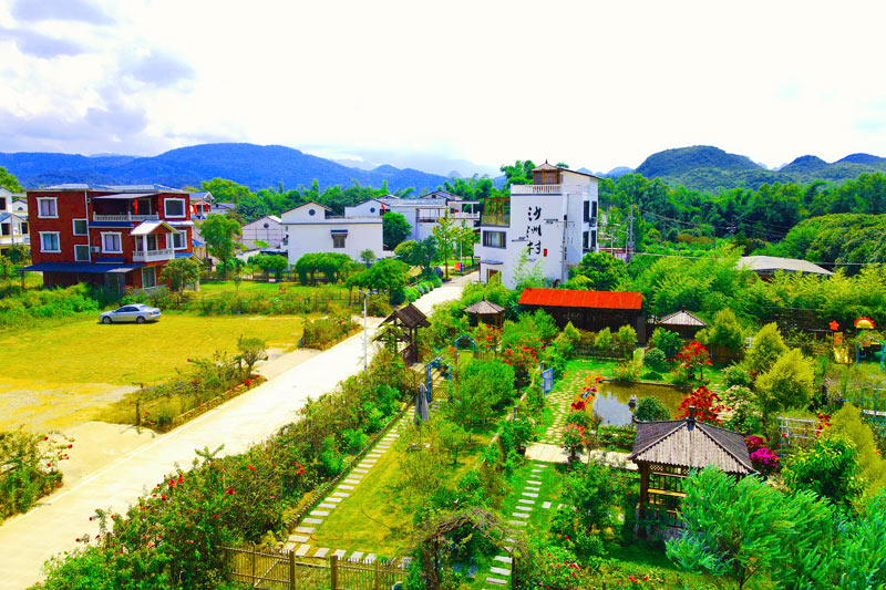 竹江村委沙洲村鸟瞰图。