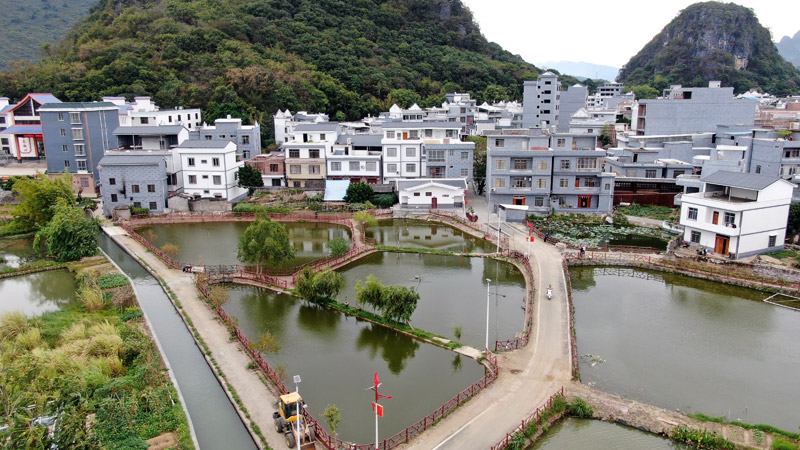 清塘镇英家村风貌改造后。