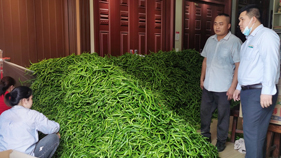 金融活水灌注特色产业  特色服务助力椒农增收