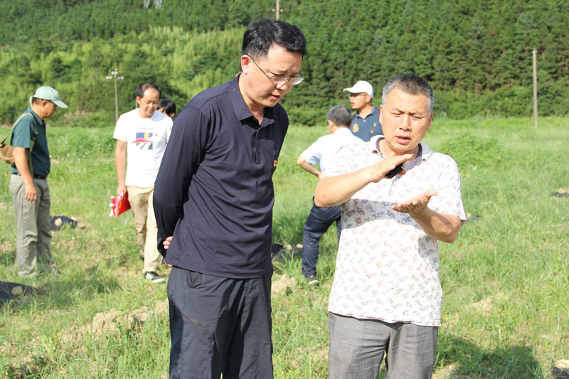 2021年6月17日，广西药用植物园党委副书记、主任张占江（前排左一）在田间与种植户进行交流。