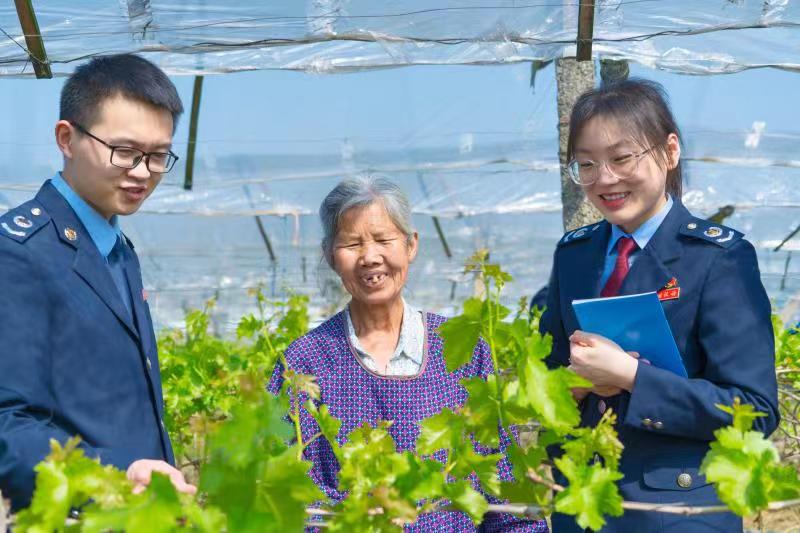 全州县税务局组建党员先锋队走进才湾镇毛竹山村，将减税降费惠农政策精准送达农户手中服务当地葡萄等特色产业发展壮大。（秦丹）