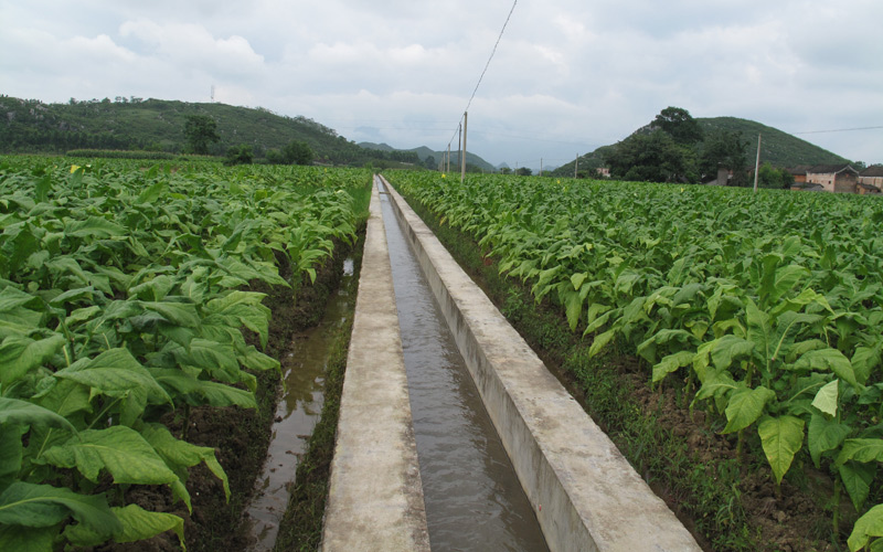 烟草部门修建的灌溉渠。