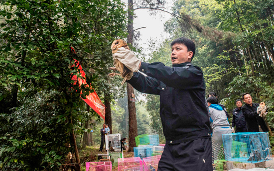 民警放飛救助的國家重點保護動物。桂林市公安局供圖