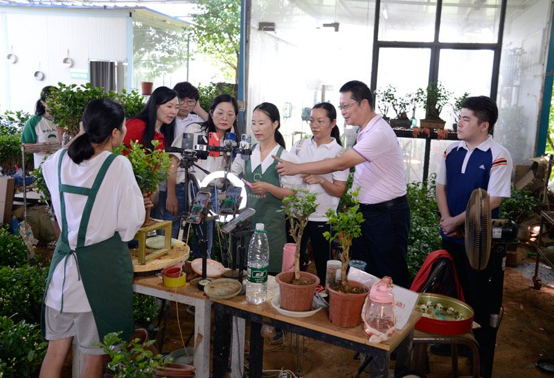 教师指导直播“带货”。梁江摄