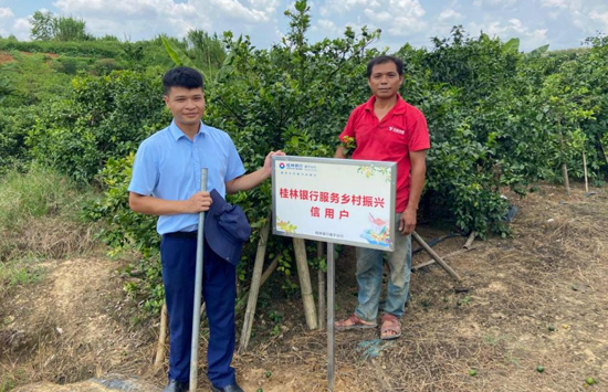 双定村“金融村官”为沃柑种植户授信。郑植摄