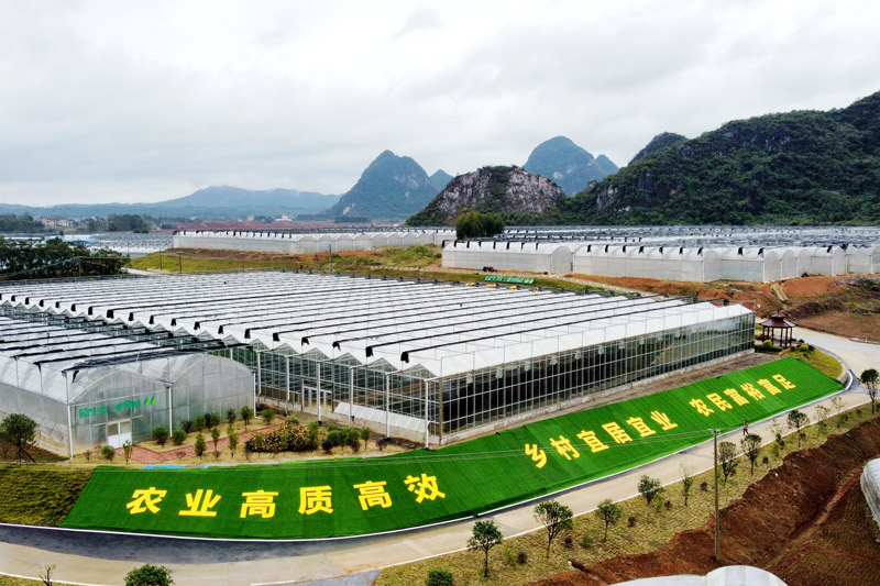 贺州市平桂区现代设施农业产业园。平桂区委宣传部供图