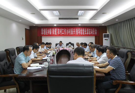 8月22日，覃塘區組織召開鄉村振興指導組組長派駐動員會。