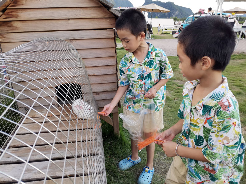 杨炫诚、杨炫然同学走进乡村田野，近距离接触小动物。学校供图