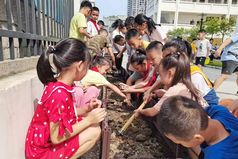 学生正在松土。学校供图