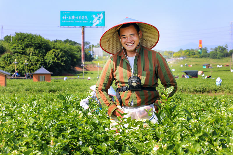 花农笑开颜。黄汝德摄