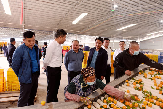 參會人員參觀西林泰源果業水果清洗打蠟生產流水線。