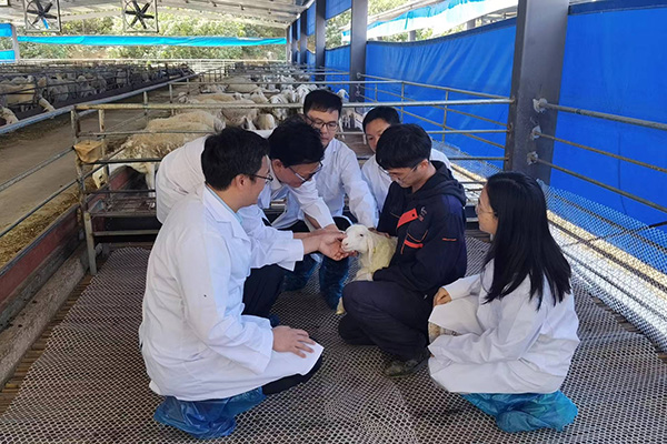 栏舍大课堂。蒋钦杨摄