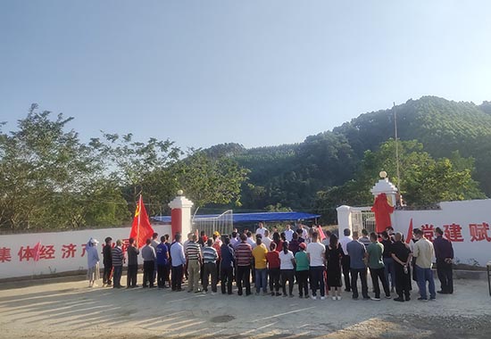 马山县林圩镇合理村村级集体经济产业园揭牌仪式现场。郑磊摄