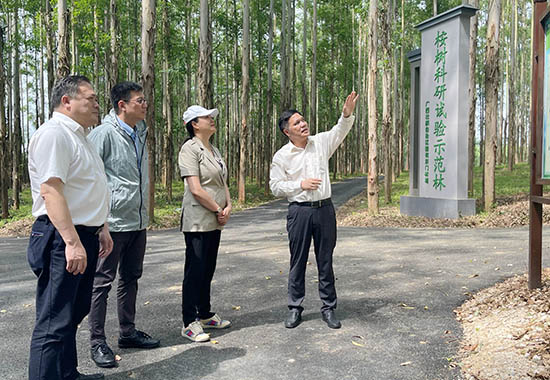 浦发银行南宁分行行长潘岭带队走访广西林业基地，将绿色金融服务送进项目地。