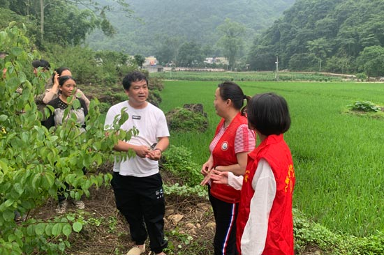 陈思宇