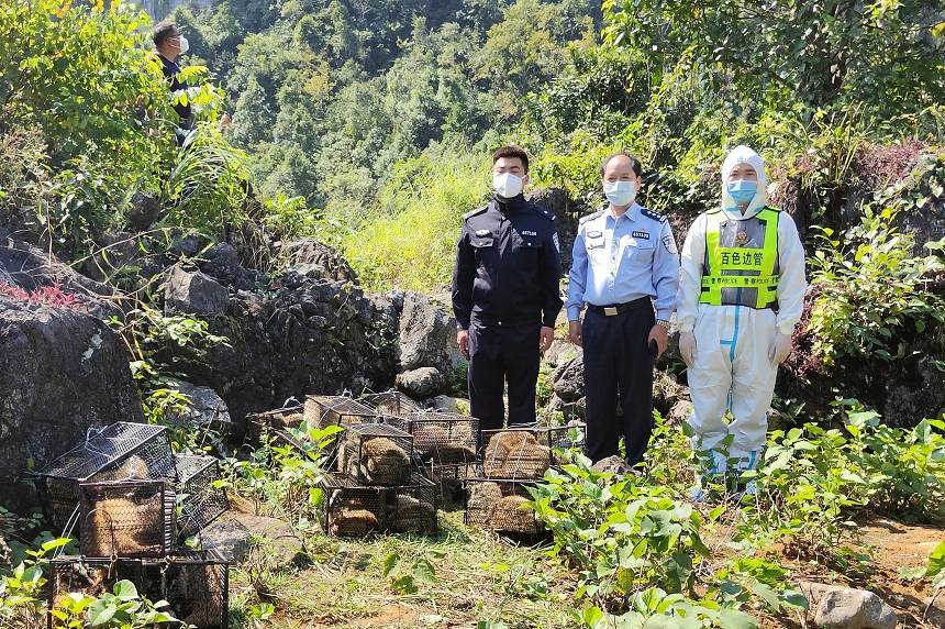 移民管理警察将果子狸移交相关部门。朱怀杰摄