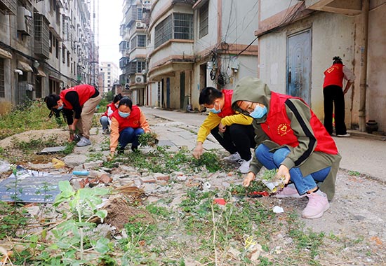 志愿者在富江花园教师村小区清除杂草。廖超文摄