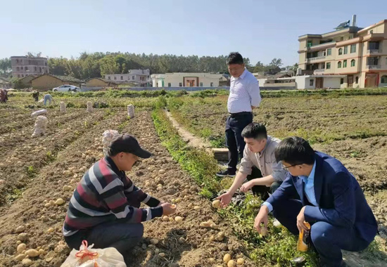 桂林銀行玉林分行工作人員深入田間地頭了解農戶金融需求，以制定服務方案。歐芳芸攝
