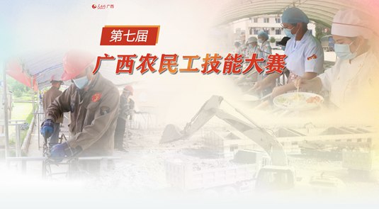 专题：第七届广西农民工技能大赛