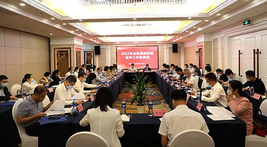 2022年广西全区统战系统宣传工作座谈会召开