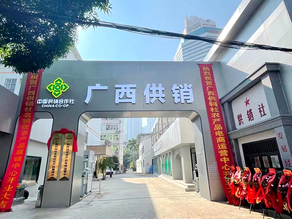 广西供销社现今场景。广西供销社供图