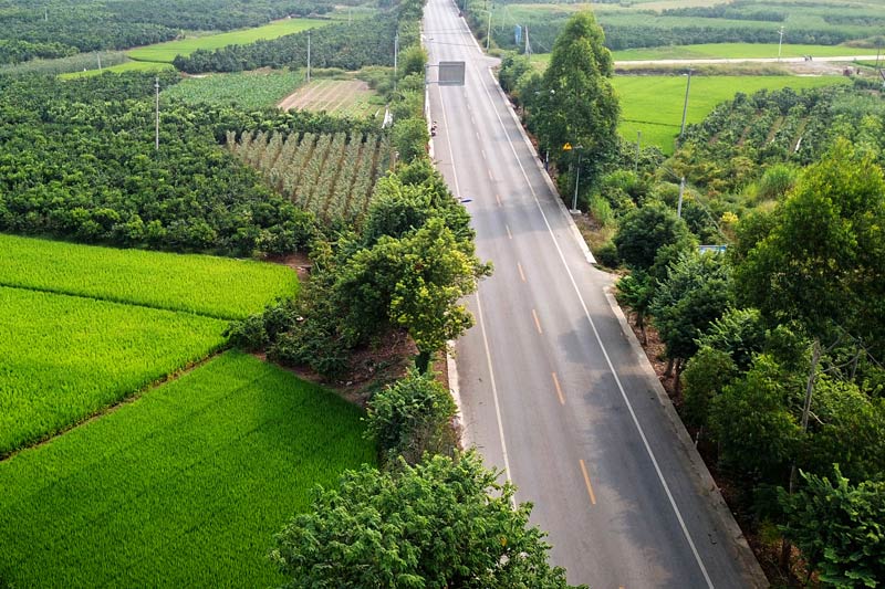 G355线罗秀至大乐公路沿线绿油油的景象   韦文强摄