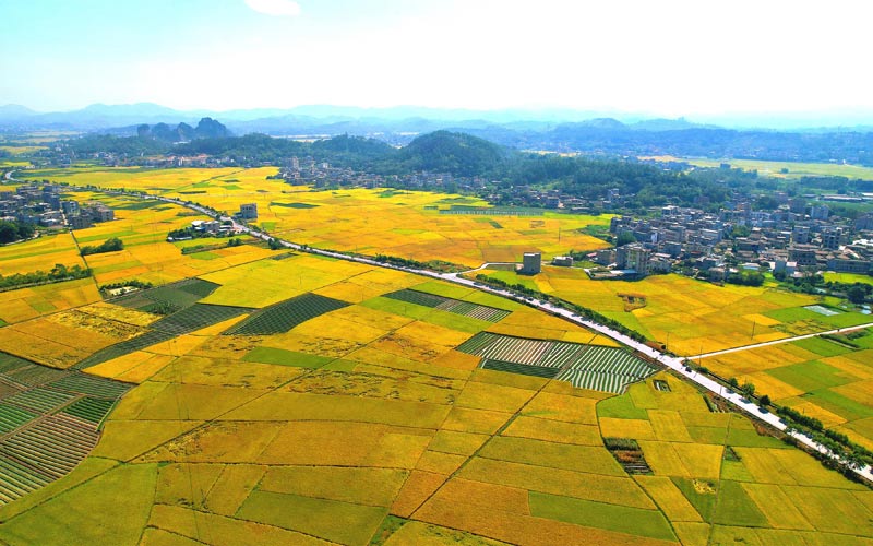 国道241线呼和浩特至交海公路广西陆川县珊罗镇田龙村路段（彭希睦摄）