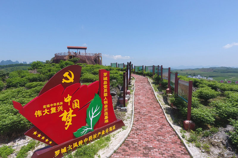 罗城大风岭中药材产业示范区。