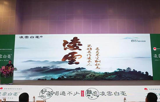 广西“凌雲白毫”品牌宣传推介会活动现场。陈波摄