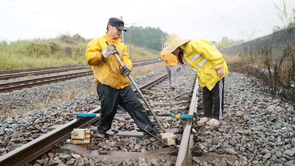 职工在线路上进行起道捣固作业。谭育俊摄