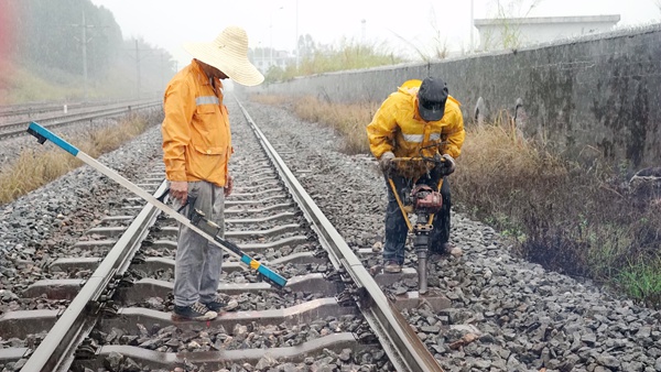 职工冒雨在线路上利用小型捣固机进行机械维修捣固作业。谭育俊摄