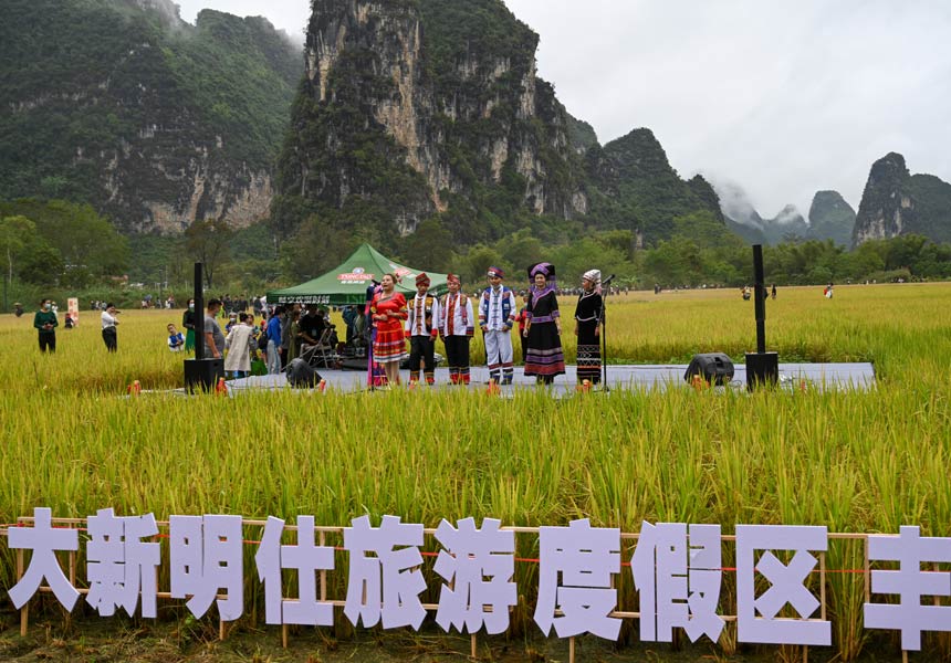 丰收节活动现场。大新县融媒体中心供图