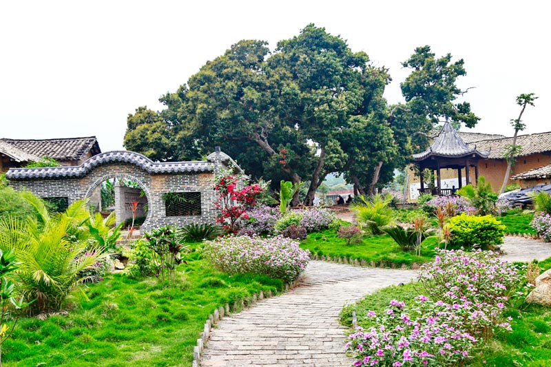 萍塘村后花园。