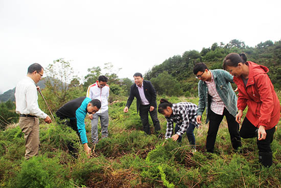 在那楠乡那陶村中草药基地了解天冬管护情况.jpg