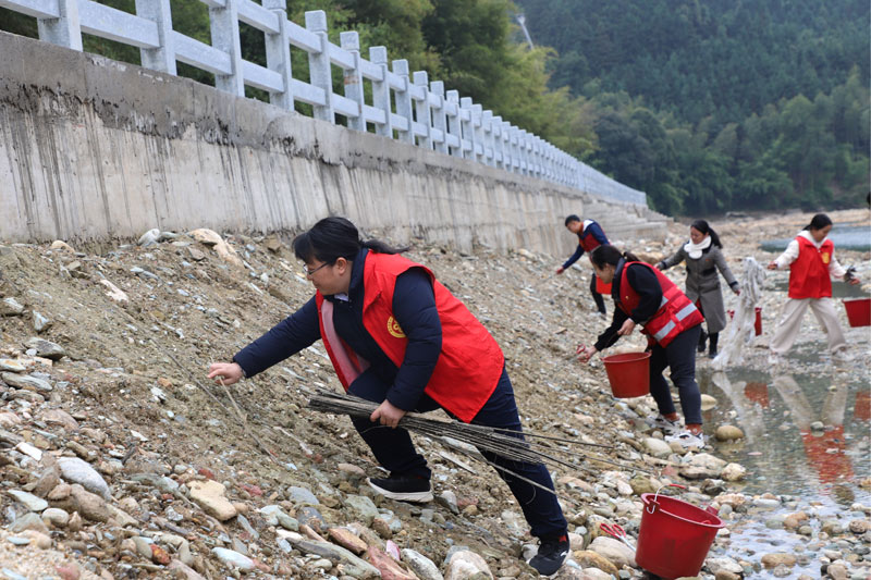 杨宁与志愿者们一起清理河滩垃圾