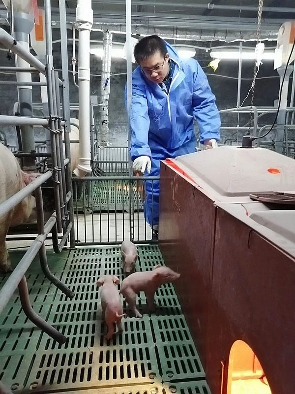 韦总场长在生产一线