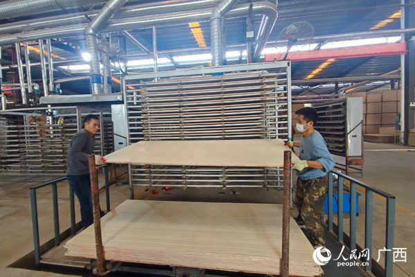 木业生产车间里工人正在作业。人民网记者 王勇摄