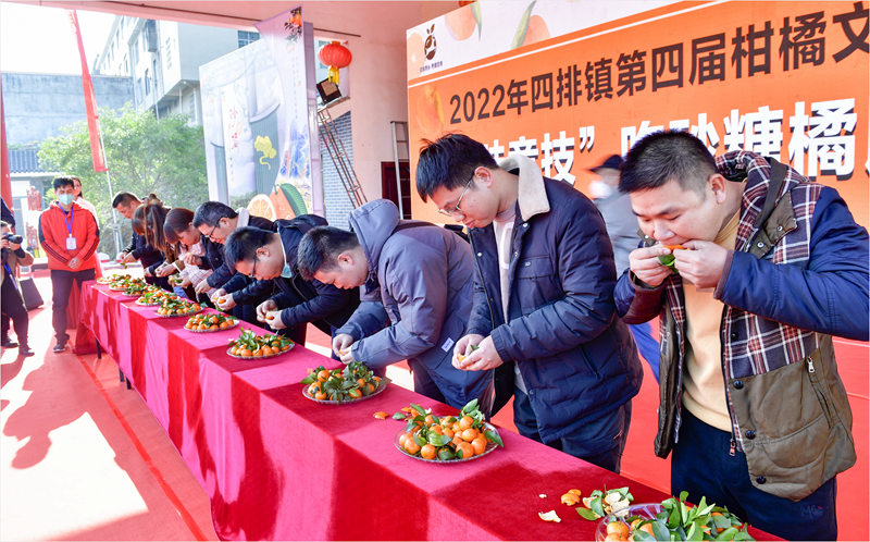 吃砂糖橘比赛。四排镇供图