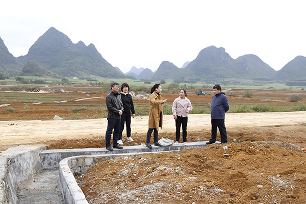 柳州市审计局领导深入板贡村调研旱改水项目现场。