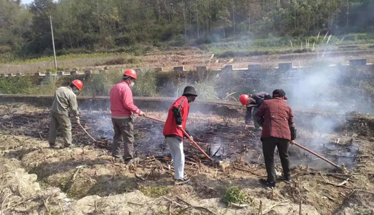 百旺镇：开展禁止露天焚烧农作物秸秆集中整治专项行动工作