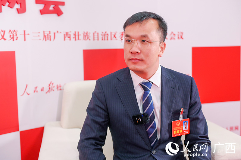 吳奇峻代表接受專訪。人民網記者 嚴立政攝