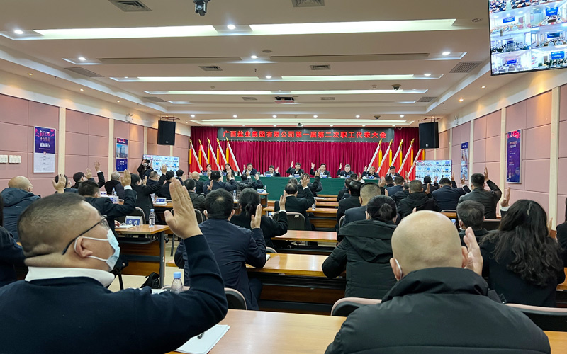 大会现场。徐子涵摄